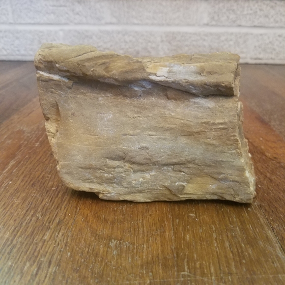 Petrified Wood Display Specimen Mitchell County Nc. 1lb 12oz. - Picture 2 of 10